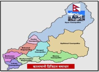 एक महिनामा ४४ उद्योग दर्ता