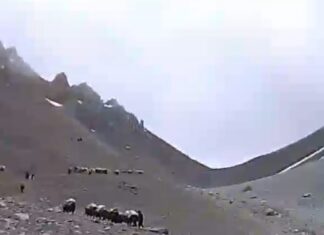 नेपाली व्यापारीलाई भारतियभन्दा पहिला स्वागत