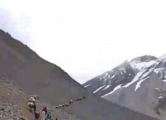 दार्चुलाका व्यापारी पुगे ताक्लाकाेट